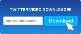 Paste the URL into the Input Field