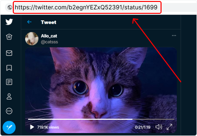 Müzik içeren tweet bağlantısını kopyalayın ve ana sayfamıza yapıştırarak 'İndir' düğmesine tıklayın. Twitter'dan MP3 indirmek için en pratik yöntem budur.